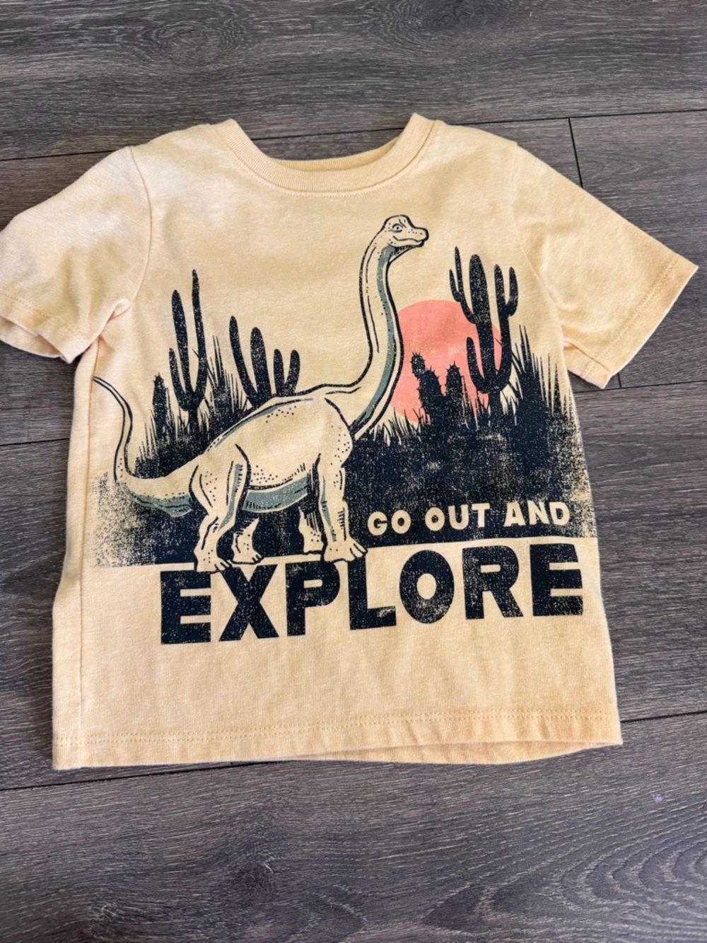 Sz 3t toddler top